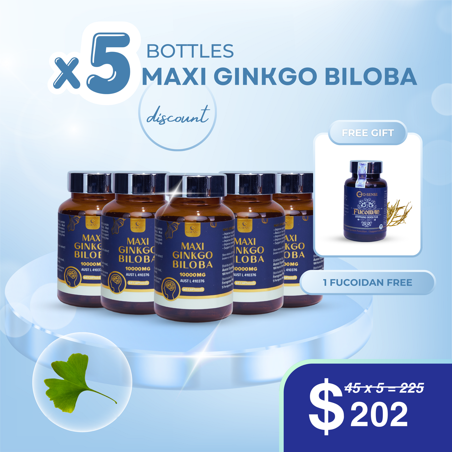 5 Bottles Maxi Ginkgo Biloba