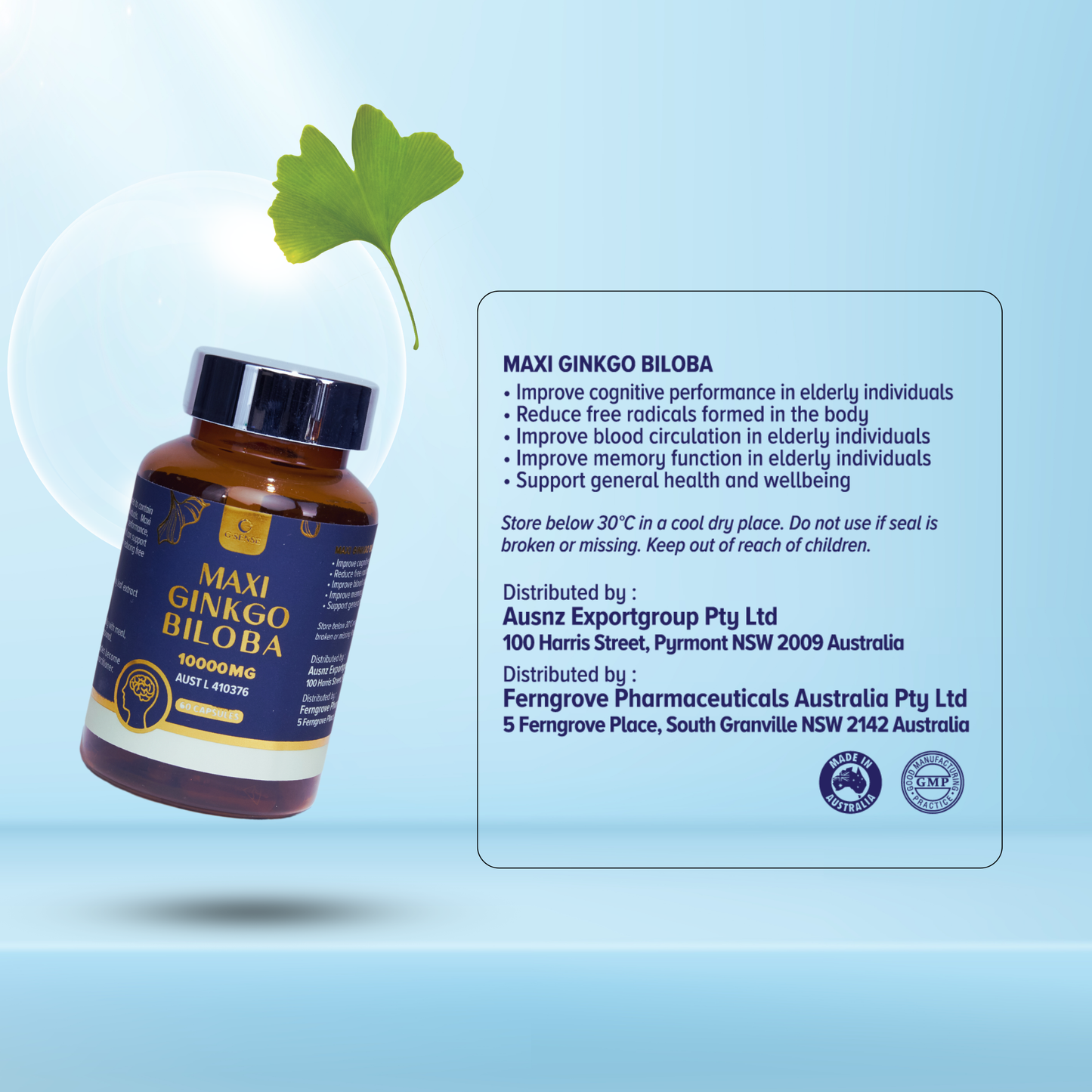 G.SENSE Maxi Ginkgo Biloba 10000mg