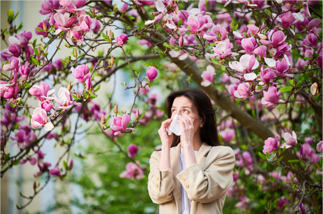 A Season of Blossoms and Pollen Allergies