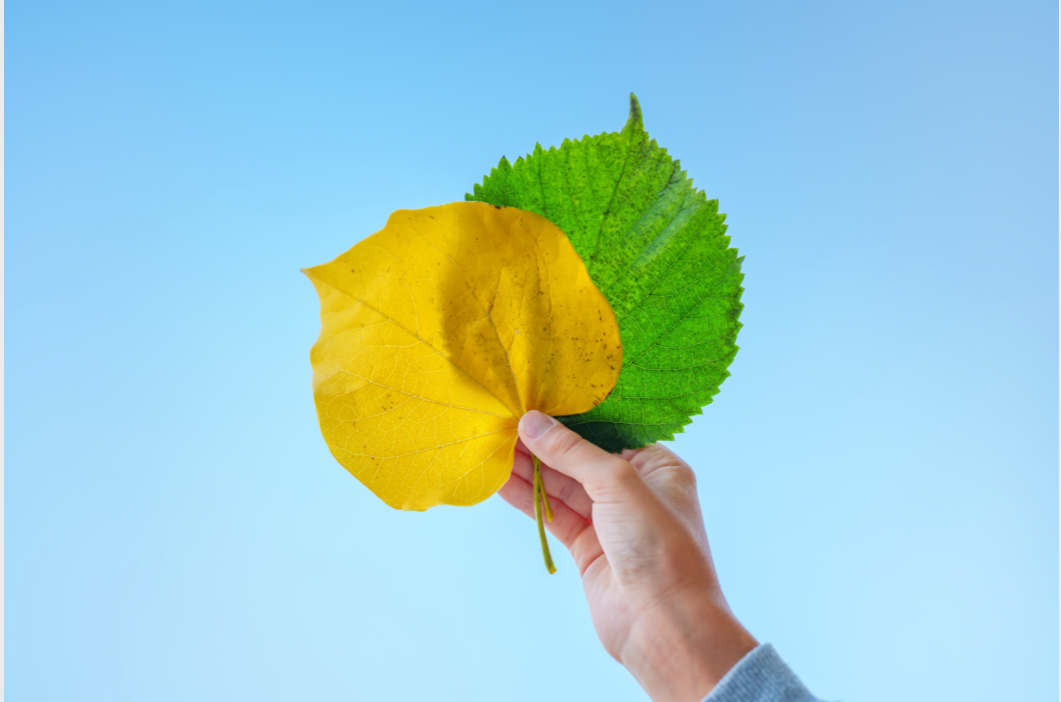 Caring for the Body as the Seasons Gently Change