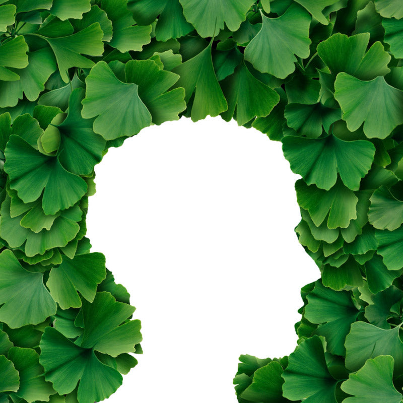 Memory &amp; Stress in the Modern World – What’s Happening and How to Fix It