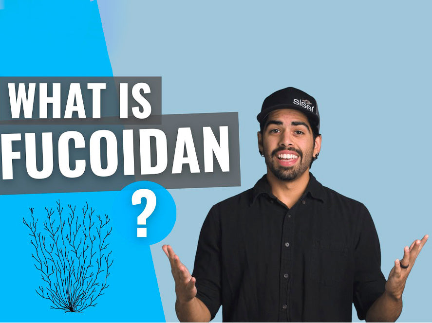 Why Is Fucoidan an Essential Supplement