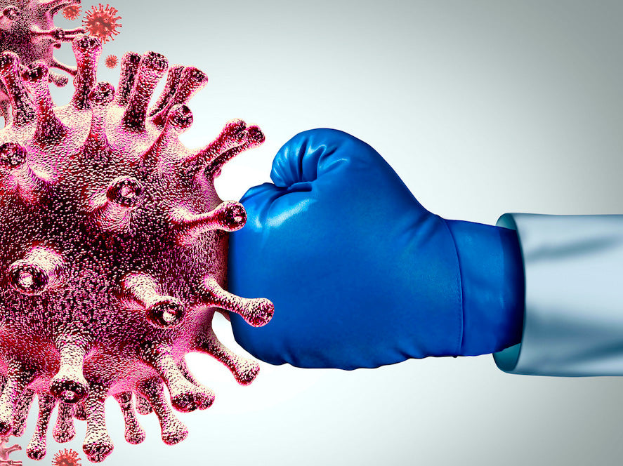 How Our Immune System Fights Viruses