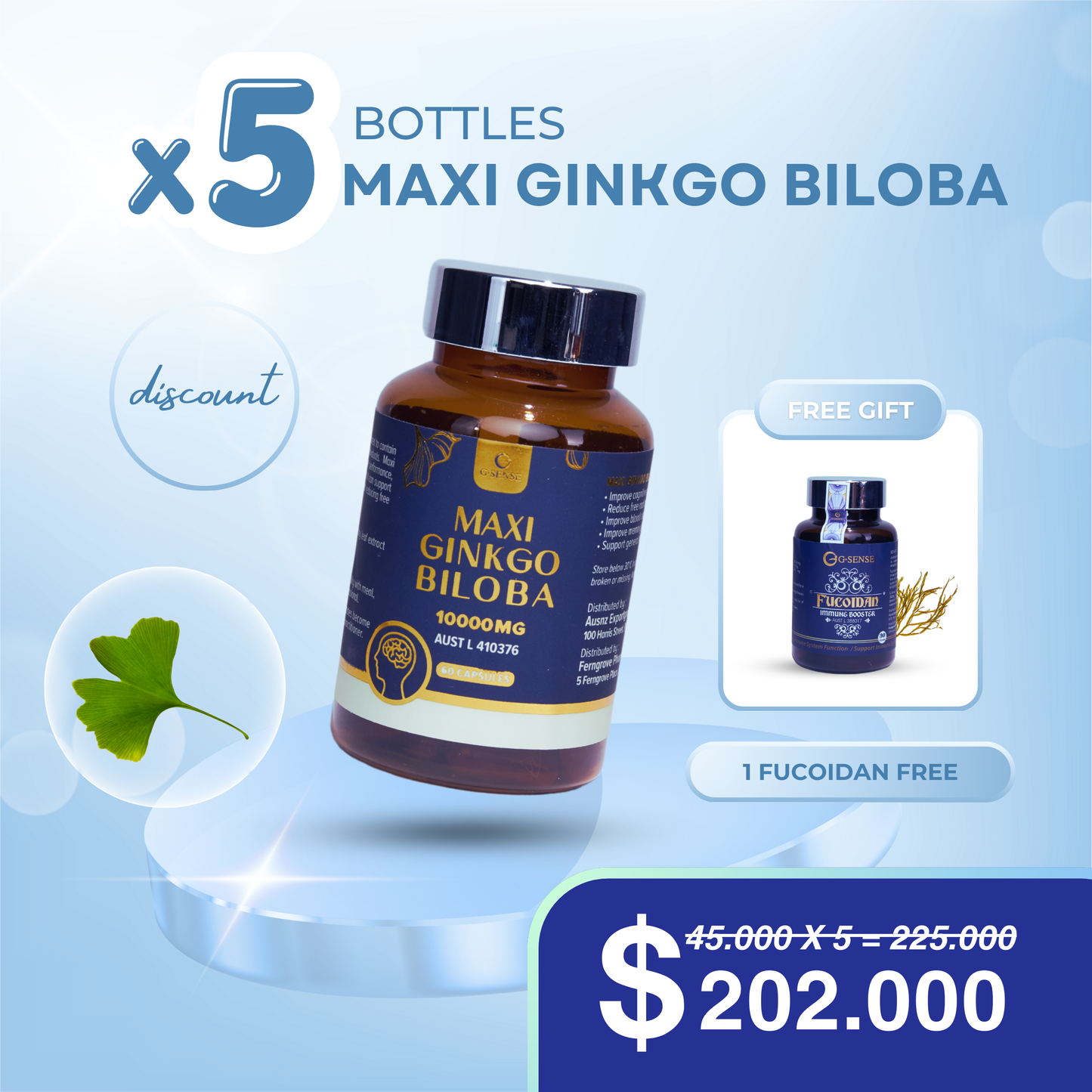 5 Bottles Maxi Ginkgo Biloba